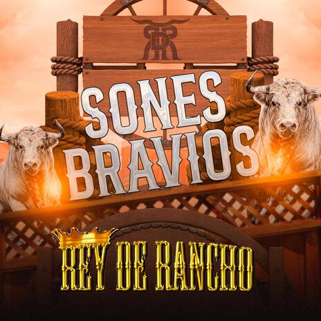 Sones Bravios | Boomplay Music