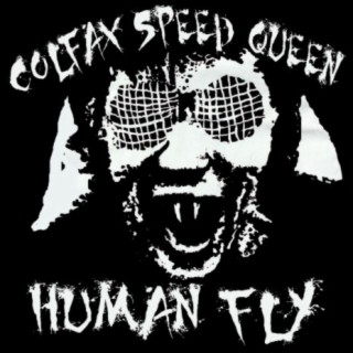 Colfax Speed Queen