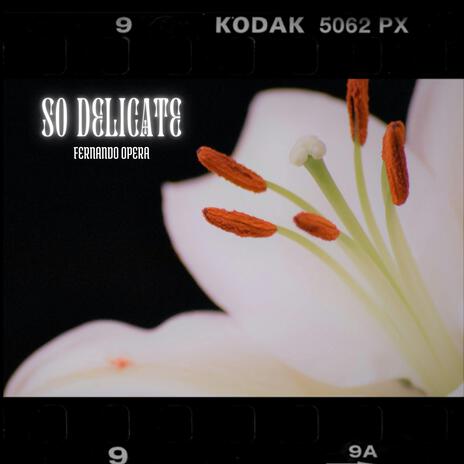 So Delicate (Radio Edit) | Boomplay Music