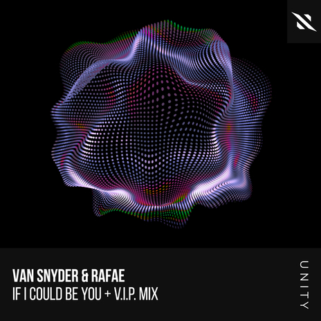 If I Could Be You (Van Snyder V.I.P. Mix) ft. Rafae | Boomplay Music