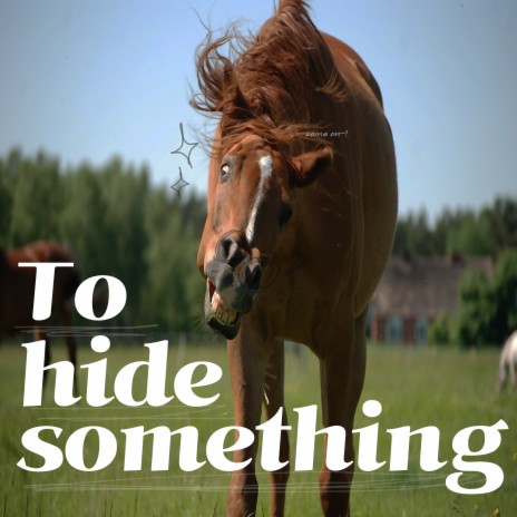 To Hide Something ft. Ondo88