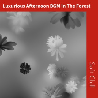 Luxurious Afternoon BGM In The Forest