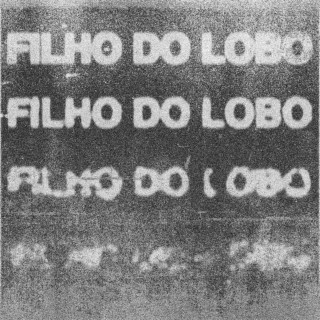 Filho Do Lobo