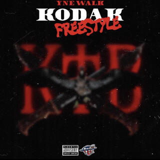 Kodak Freestyle