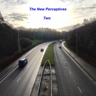 The New Perceptives