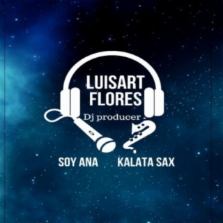 luisart flores