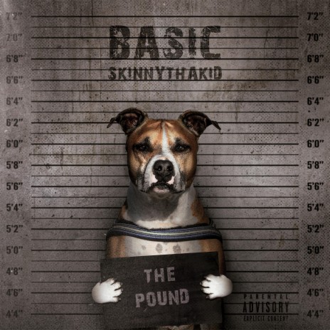 The Pound | Boomplay Music