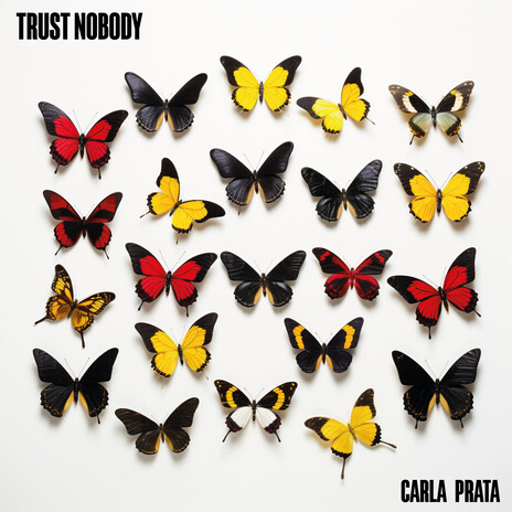 Trust Nobody | Boomplay Music