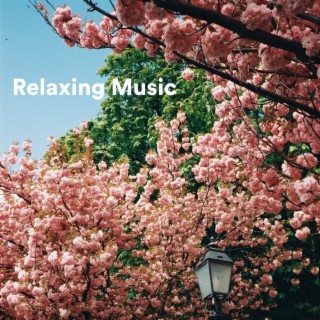 Relaxing Music