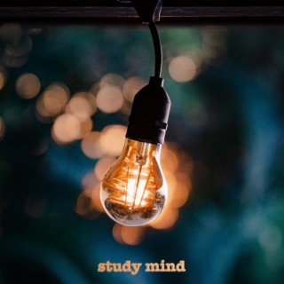 Study Mind