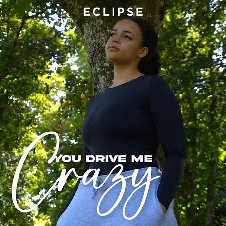 You Drive Me Crazy | Boomplay Music