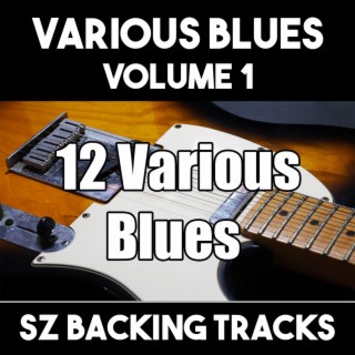 12 Various Blues Backing Tracks Volume 1