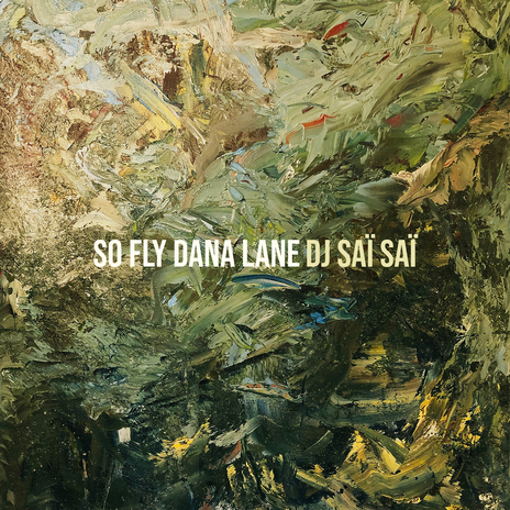 So Fly Dana Lane | Boomplay Music