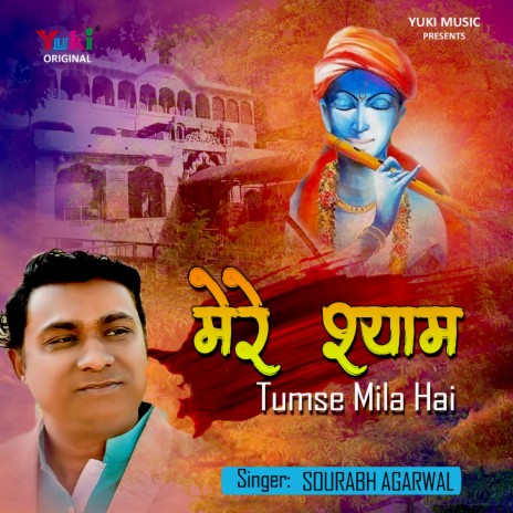 Mere Shyam Tumse Mila Hai | Boomplay Music