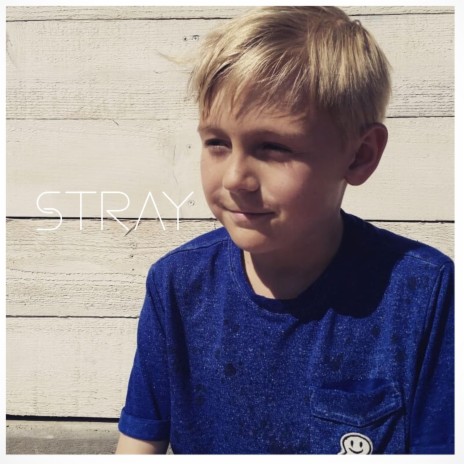 Stray | Boomplay Music