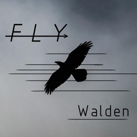 Fly | Boomplay Music