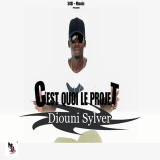 C\'est quoi le projet