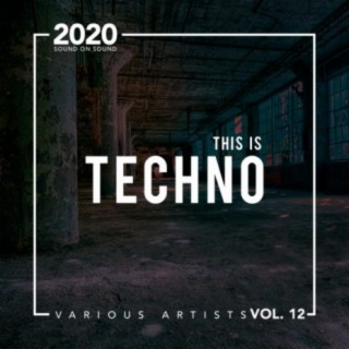 This Is Techno, Vol. 12