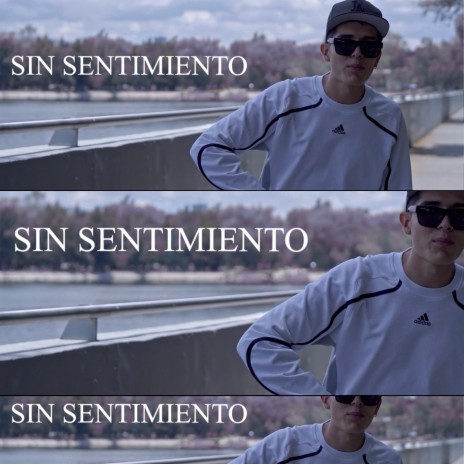 Sin Sentimiento | Boomplay Music