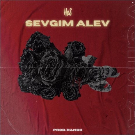 Sevgim Alev | Boomplay Music