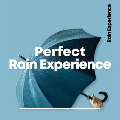 Midnight Rain & Thunder | Boomplay Music