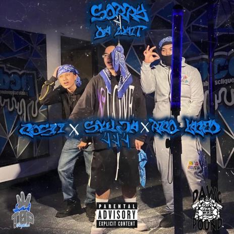 Sorry 4 Da Wait ft. Soulja444 & Cosii | Boomplay Music