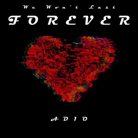 We Won't Last Forever | Boomplay Music