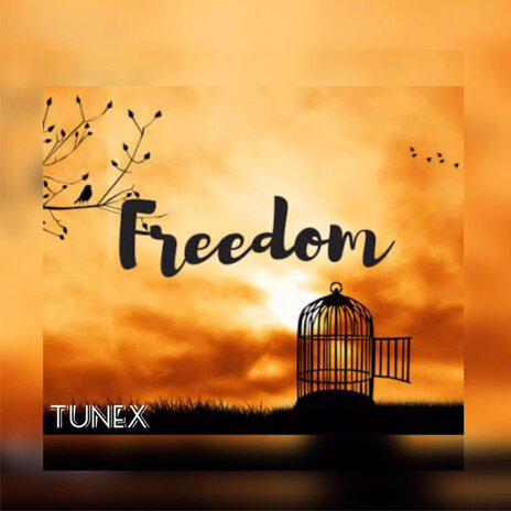 Freedom | Boomplay Music