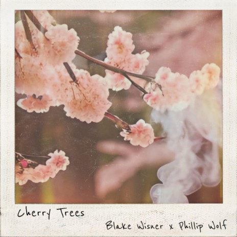 Cherry Trees ft. Phillip Wolf | Boomplay Music