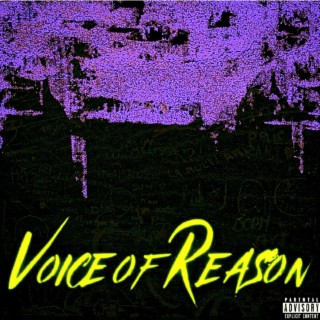 Voice of Reason lyrics | Boomplay Music