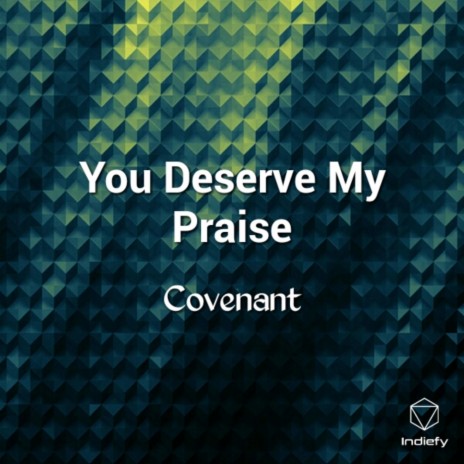 You Deserve My Praise | Boomplay Music