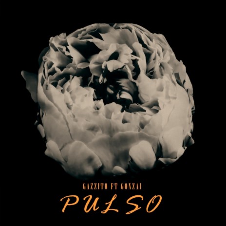 Pulso ft. Gonzai | Boomplay Music