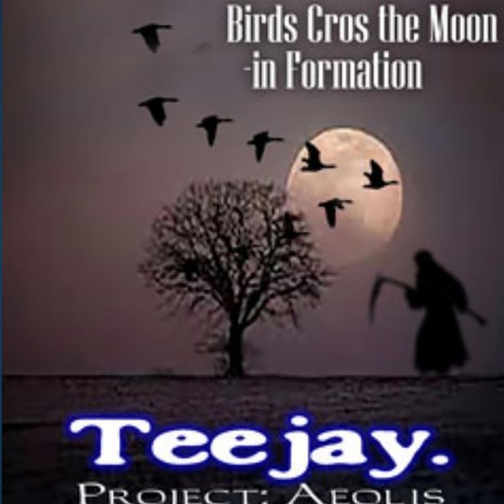 Birds Cross the Moon (in Formation)