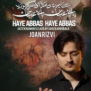 Haye Abbas Haye Abbas Jalte Khaimon Se Sada Ayi Sar e Karbobala