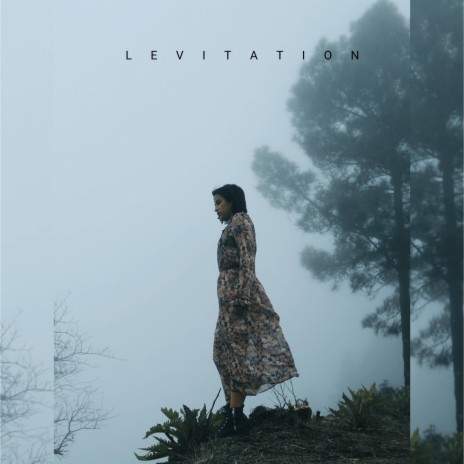 Levitation | Boomplay Music