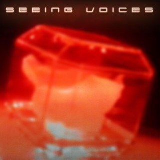 Seeing Voices