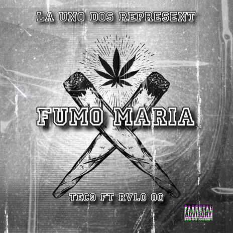 Fumo Maria ft. TecticaNueve & LoKo Rulo | Boomplay Music