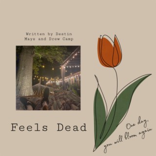 Feels Dead lyrics | Boomplay Music