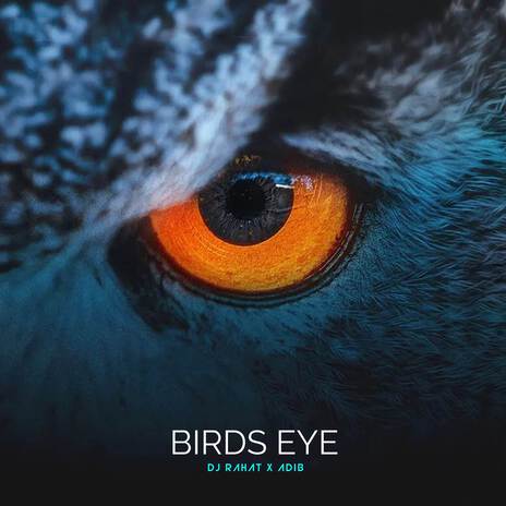 Birds Eye ft. Adib | Boomplay Music