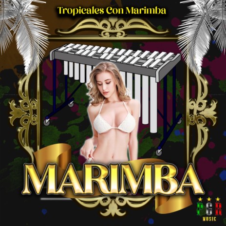 Tu No Aguantas Nadita ft. Marimba De Chiapas & Marimba | Boomplay Music