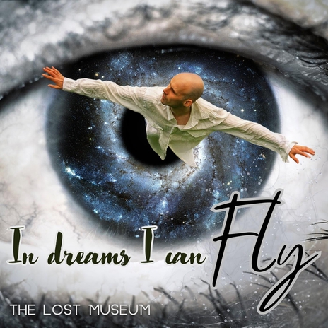 In Dreams I Can Fly | Boomplay Music