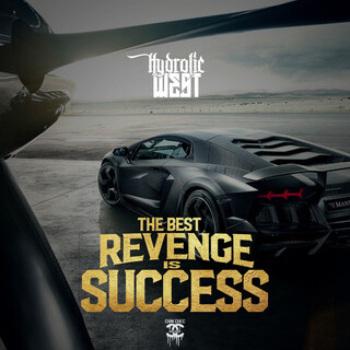 The Best Revenge Is Success