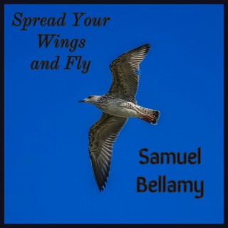 Spread Your Wings and Fly