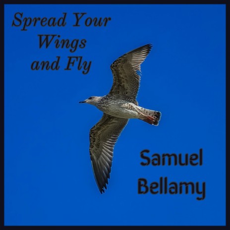 Spread Your Wings and Fly | Boomplay Music