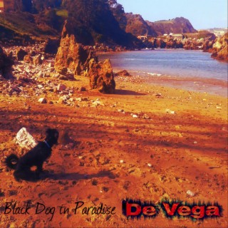 Black Dog in Paradise