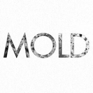 Mold