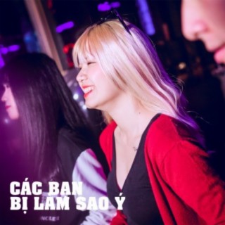 Các Bạn Bị Làm Sao Ý