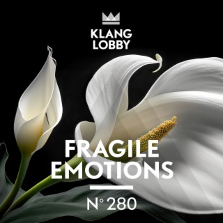 Fragile Emotions