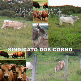 Sindicato dos Corno