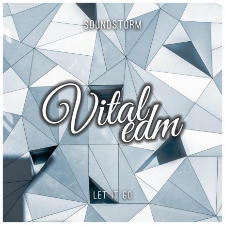 Let It Go ft. Vital EDM | Boomplay Music
